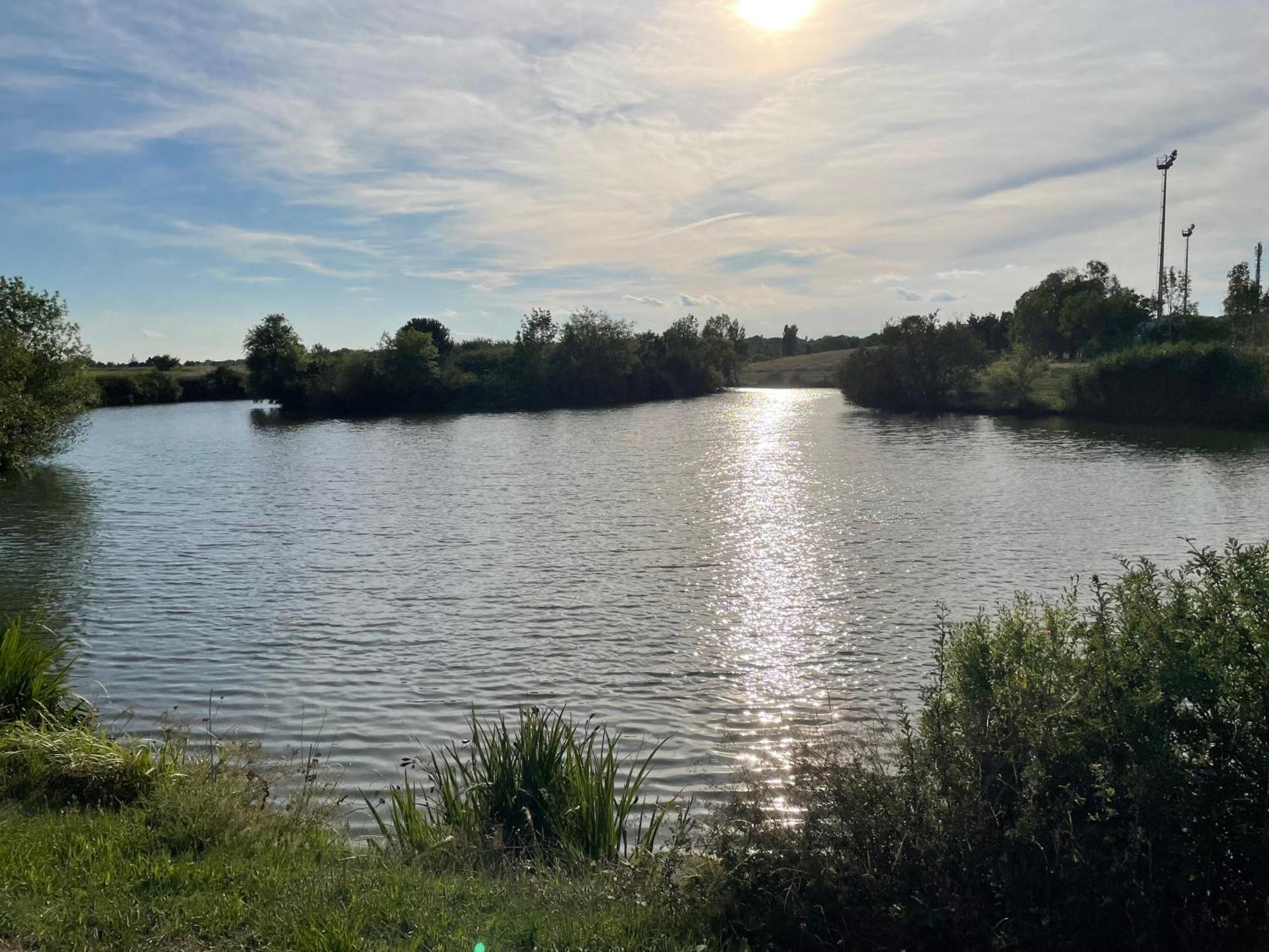 Confortable Ville A Deux Pas De Toulouse Tournefeuille Zewnętrze zdjęcie